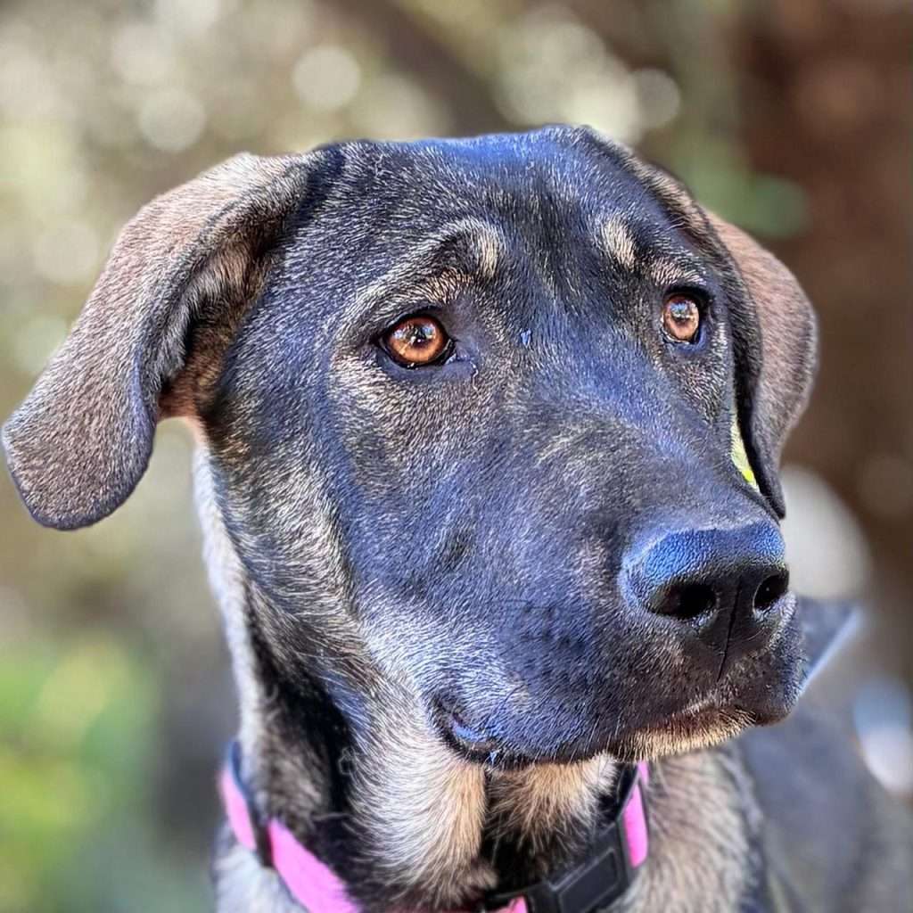 Ella