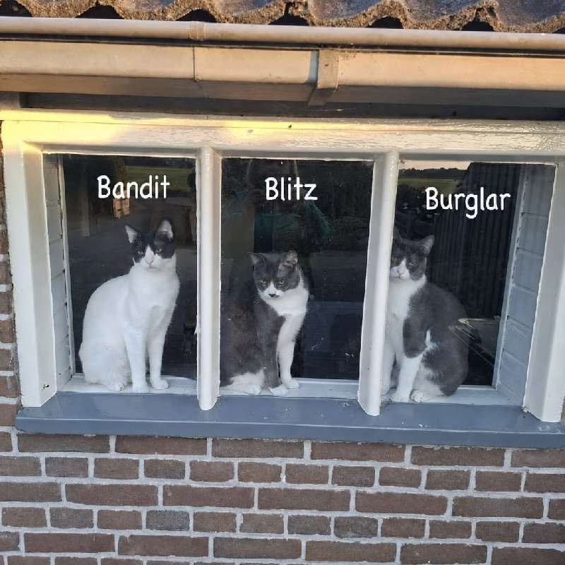 Galerij foto
