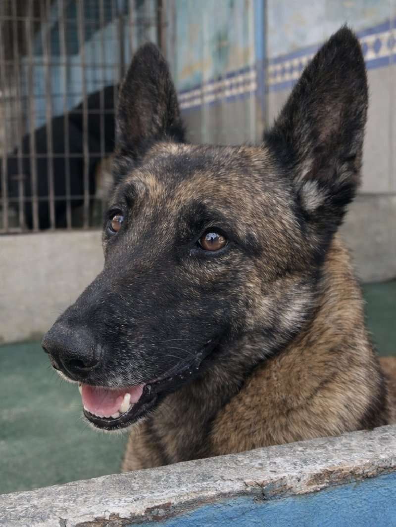 Jakki 23136