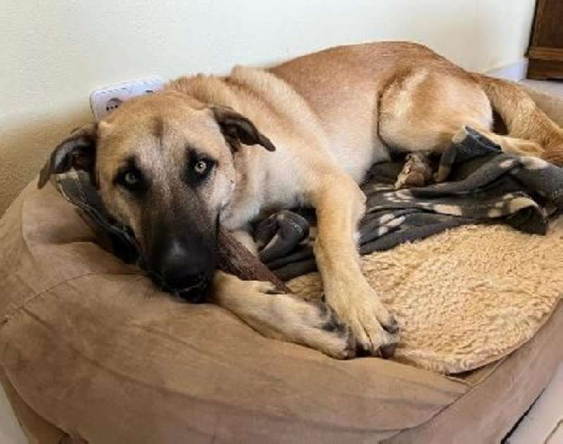 Galerij foto